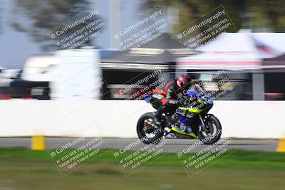 media/Feb-13-2022-CRA (Sun) [[c08943dfb2]]/Race 8/Speed Shots/